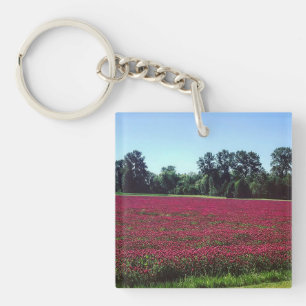 Crimson Klöver Fält