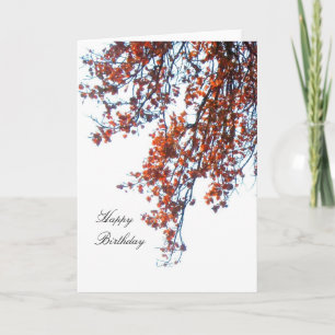 Crimson Lövs Grattis på födelsedagen Card Kort
