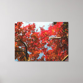 Crimson Myrtle #2 Canvastryck