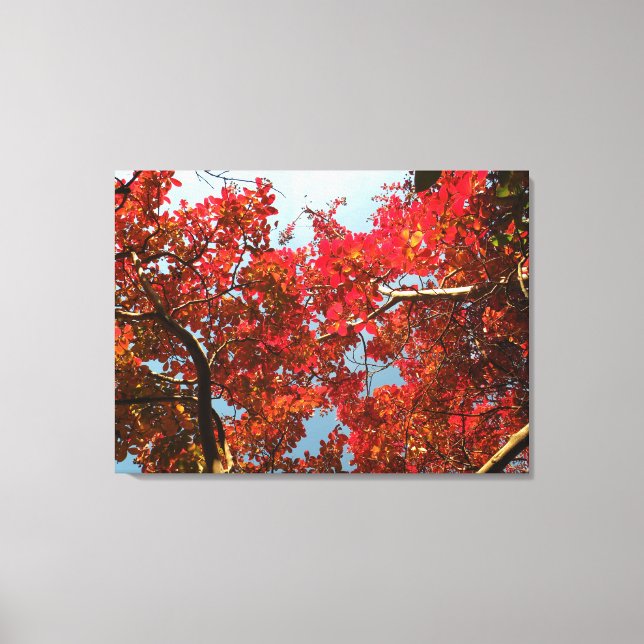 Crimson Myrtle #2 Canvastryck (Framsida)