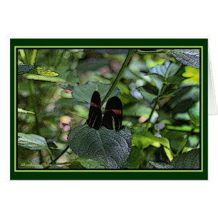 Crimson-Patched Longwing Hälsningskort