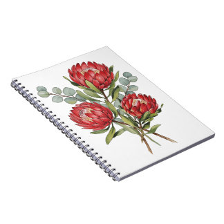 Crimson Protea Bouquet Watercolor Anteckningsbok