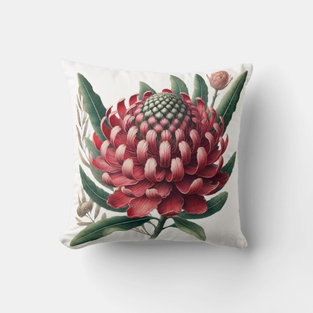 Crimson Red Waratah Australian Native Flower Kudde (Framsida)