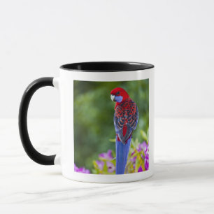 Crimson Rosella & bakgrund av orchids Lamington Mugg