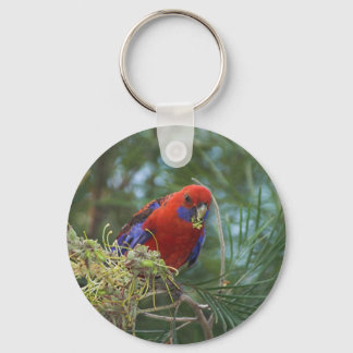 Crimson Rosella Nyckelring