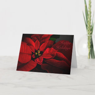 Crimson rött julstjärnaglad helgkort