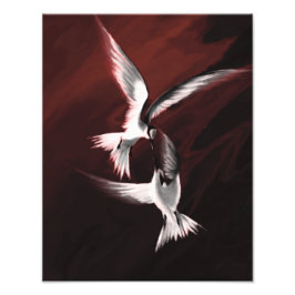 Crimson Skies Fototryck