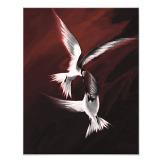Crimson Skies Fototryck