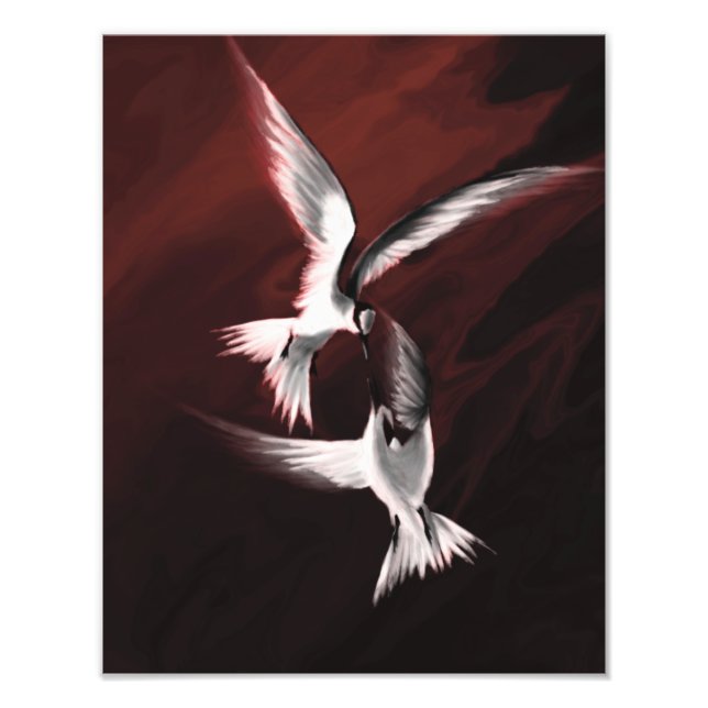 Crimson Skies Fototryck (Framsidan)