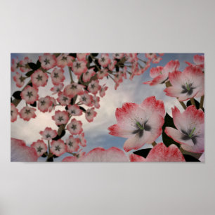 Crimson snöblommaraffisch poster