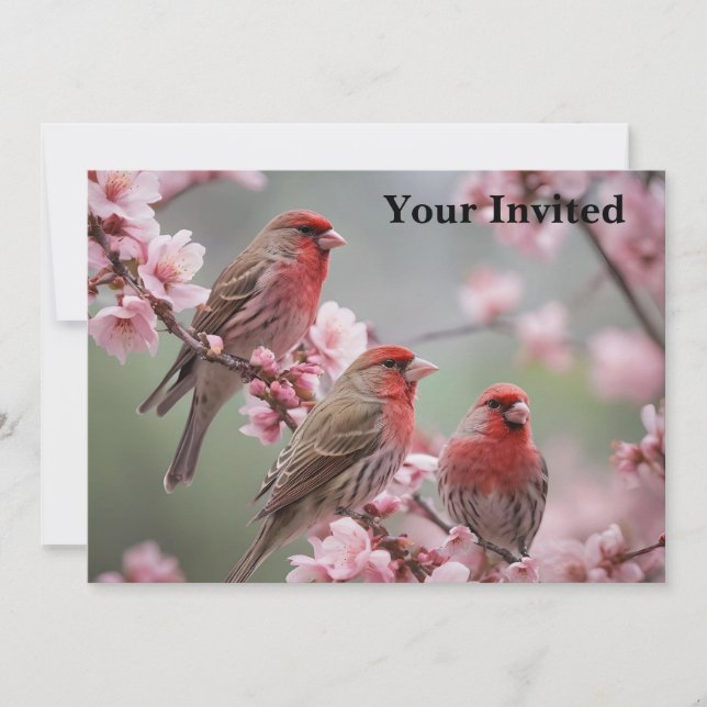 "Crimson Trio: Red Finches Amidst Rosa Blooms" Inbjudningar (Framsida)