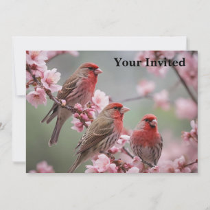 "Crimson Trio: Red Finches Amidst Rosa Blooms" Inbjudningar