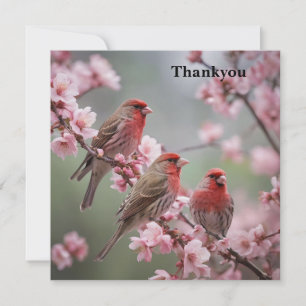 "Crimson Trio: Red Finches Amidst Rosa Blooms" Tack Kort