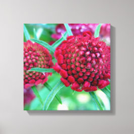 Crimson Vild Flower Canvastryck