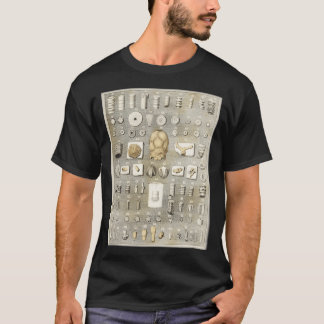 Crinoids Sea Lilies T Shirt