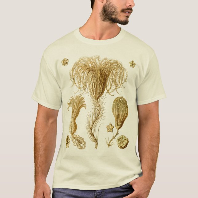 Crinoids Tee (Framsida)