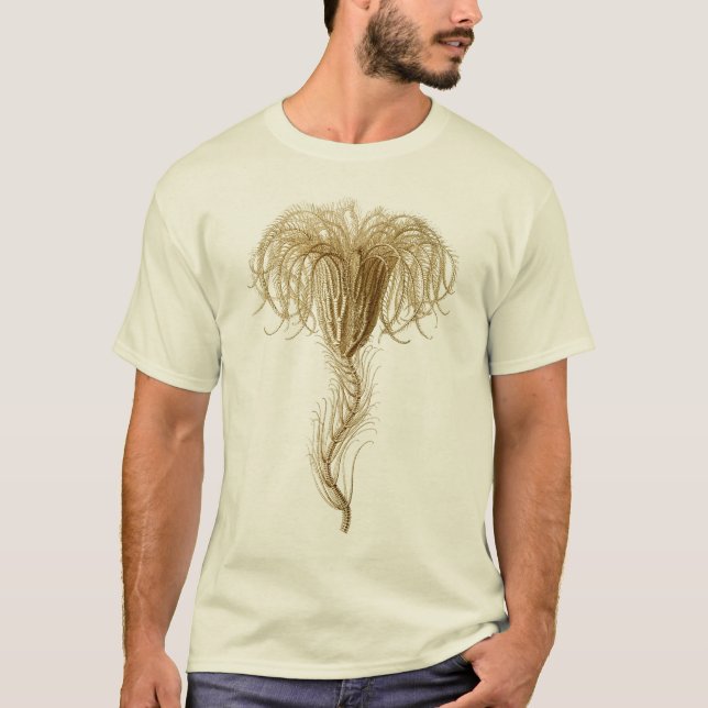 Crinoids Tee Shirt (Framsida)
