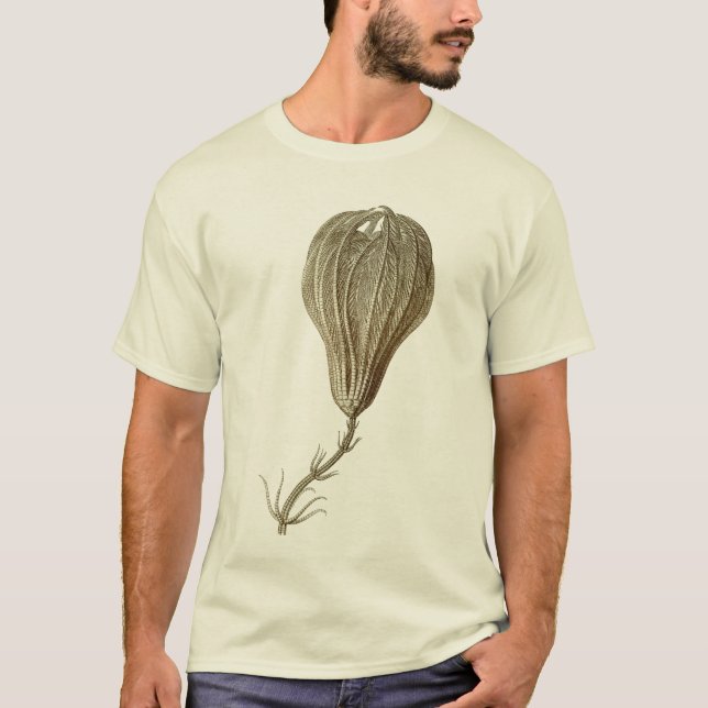 Crinoids Tee Shirt (Framsida)