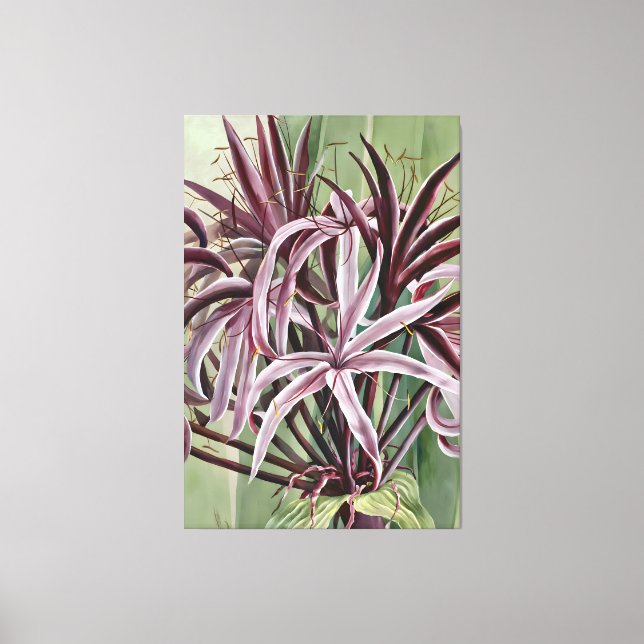 Crinum Asiaticum L-familjen Canvastryck (Framsida)