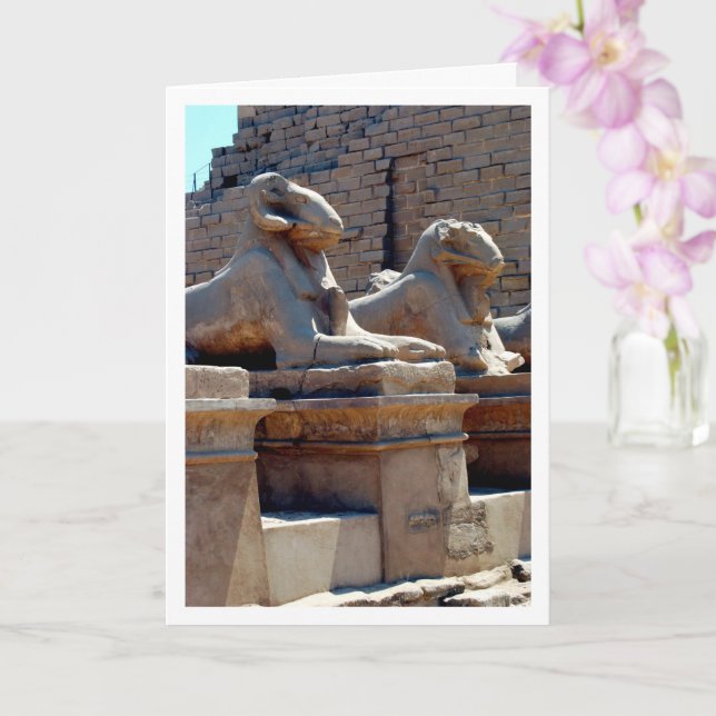 Crio-Sphinx-statyer i Karnak Temple, Luxor, Egypte Kort (Orkide)