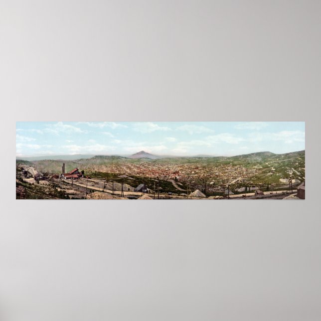 Cripple Bäck Colorado Panoramic View Poster (Framsidan)