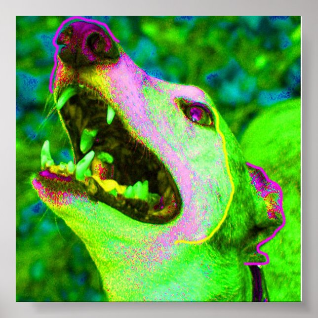 Crisco Poster (Framsidan)