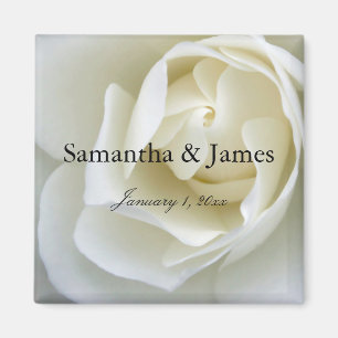 Crisp White Rose Magnet