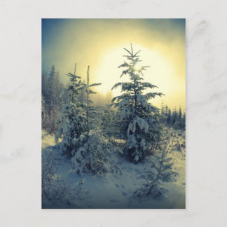 Crisp Winter Morgon Vykort