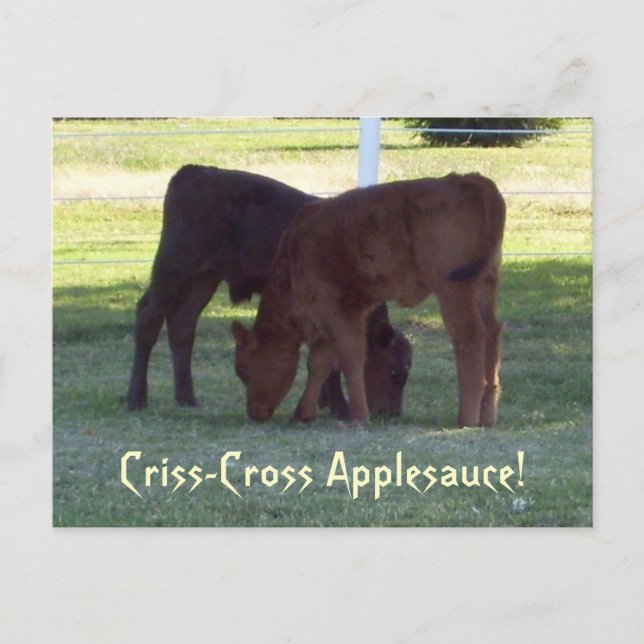 Criss-Kor Applesauce! Kalvar - vykort (Framsida)