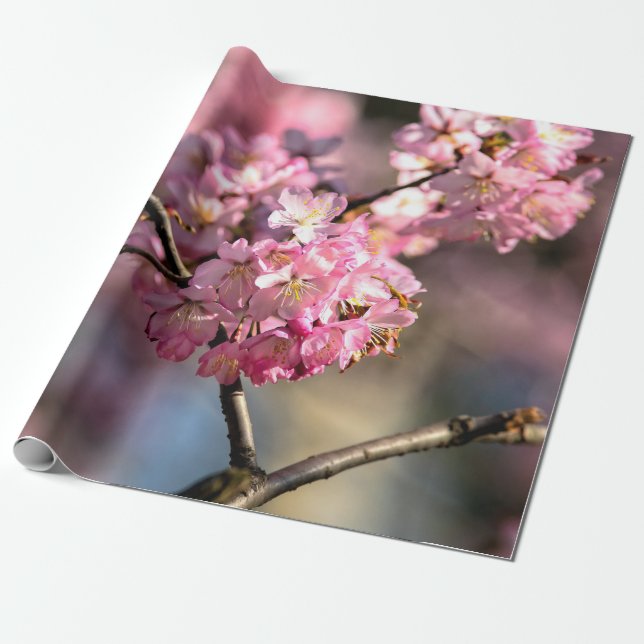 Crisscrossed Sakura Träd Twigs Presentpapper (Utrullad)