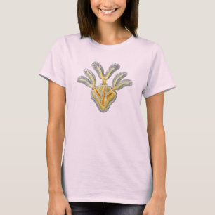 Cristatella mucedo t shirt