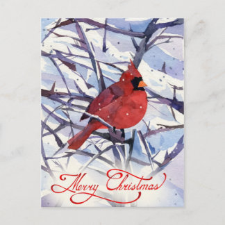 Cristmas-vykort Vykort