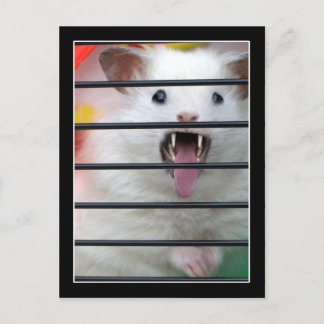 Critter är ett Elak Hamster Vykort