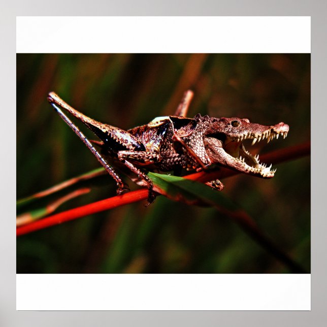 Crocket poster (Framsidan)