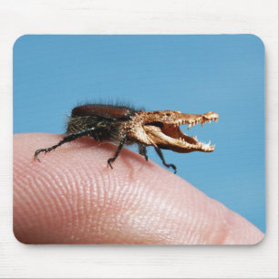 Crocobeetle mousepad musmatta