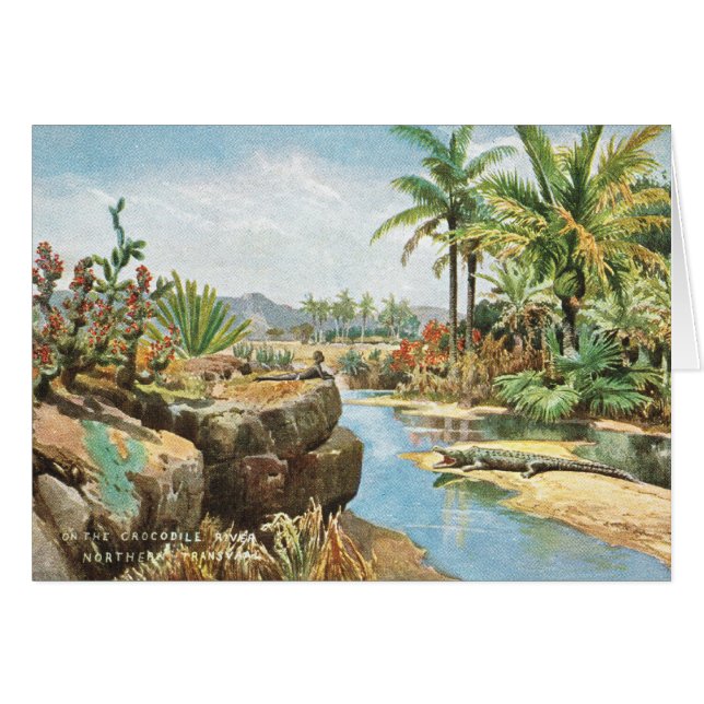 Crocodile River Sydafrika Hälsningskort (Framsidan Horizontal)
