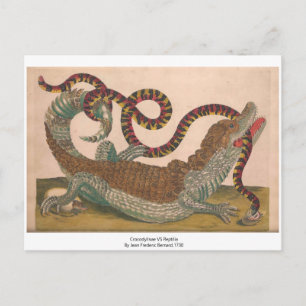 Crocodile Vintage Zoological Sketch-vykort Vykort