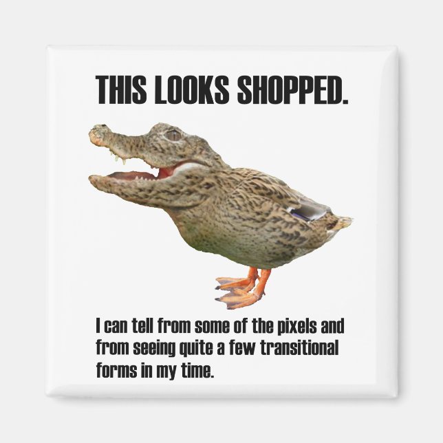Crocoduck-bedrägeri Magnet (Framsidan)