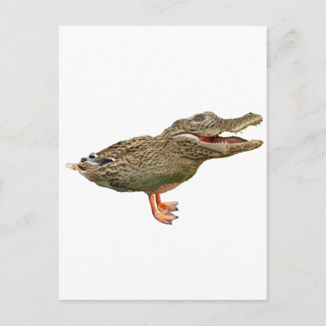 Crocoduck med fötter vykort (Framsida)