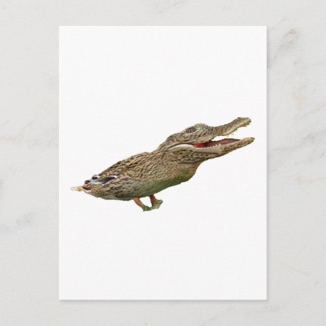 Crocoduck Vykort (Framsida)