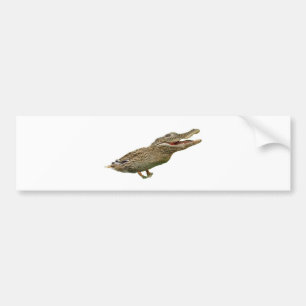 Crocoducken Bildekal