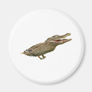 Crocoducken Magnet