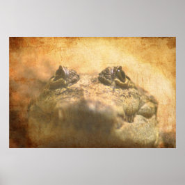 Crocodylus Moreletii Stäng Poster