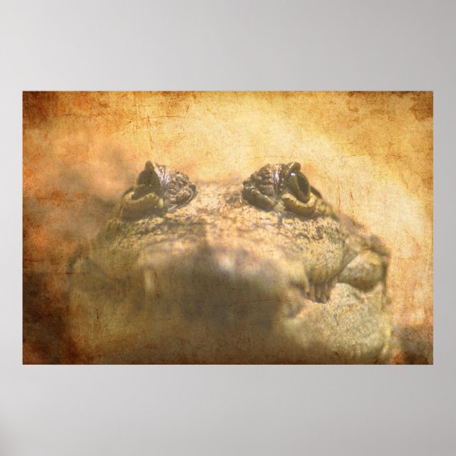 Crocodylus Moreletii Stäng Poster (Framsidan)