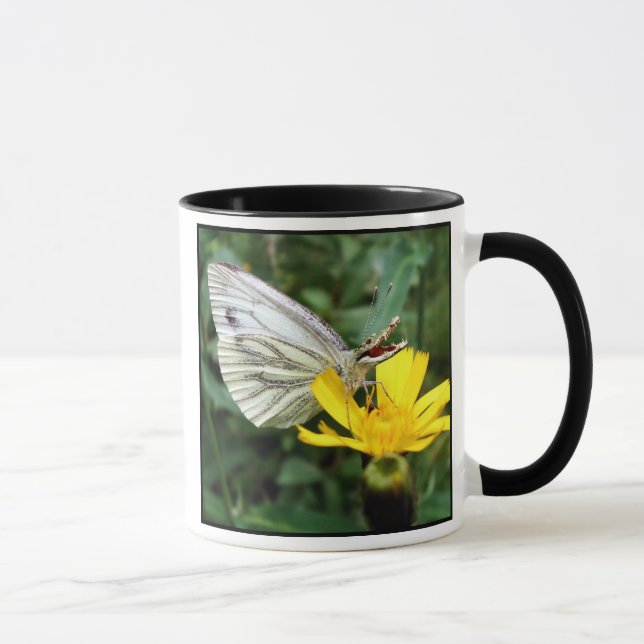 Crocofly mugg (Höger)