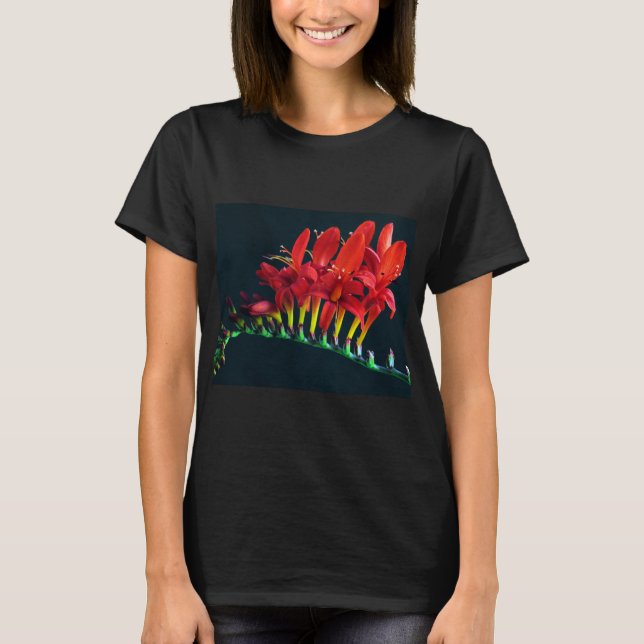 Crocosomia Lucifer Montbretia Blommigt T Shirt (Framsida)