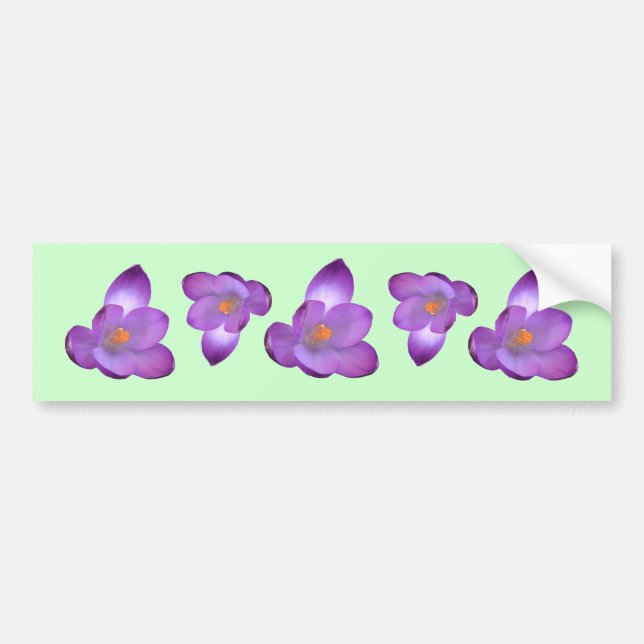 Crocus 1, Crocus 1, Crocus 1, Crocus 1, Crocus 1,  Bildekal (Framsidan)