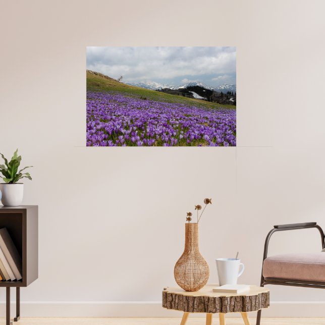 Crocus-blommor i Velika Planina, Slovenien Poster (Vardagsrum 3)