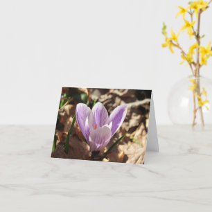 Crocus Emerging Card (ej ifyllt) Kort
