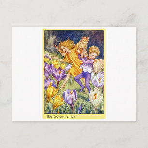 Crocus Fairy Vykort